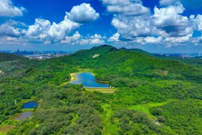 《嘉禾望岗》装得下多少青春回响 千万人的情感集纳地