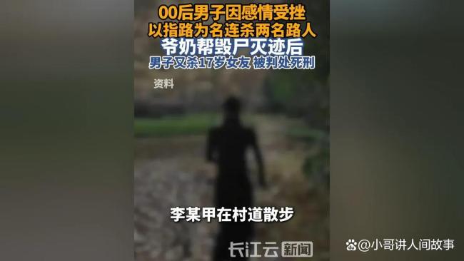 00后因感情问题连杀三人，祖父母包庇同获刑