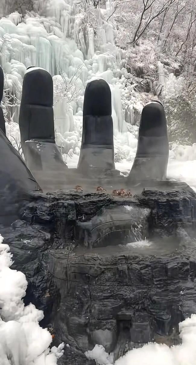 河南一景区猕猴“泡温泉养生” 五指山温泉成新宠