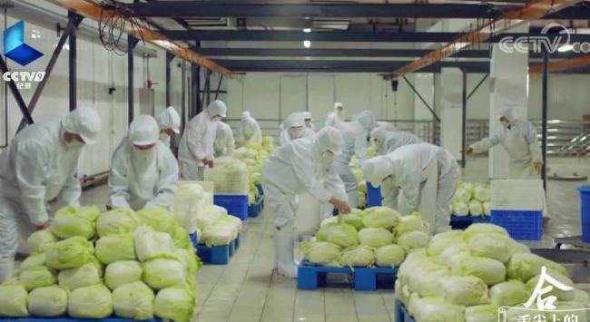 职工酸菜池中吸烟吐痰雇主被罚100万 信任再受重创