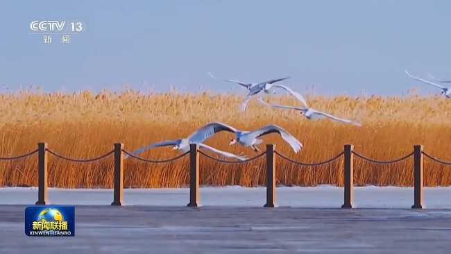 新想想引颈新征途丨看护大好意思湿地 建设飘逸中国