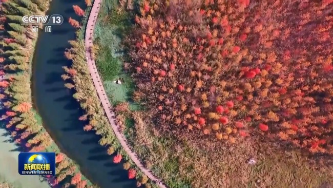 新想想引颈新征途丨看护大好意思湿地 建设飘逸中国