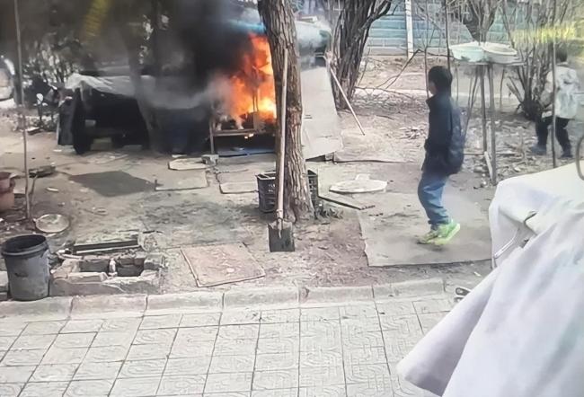 男孩玩火烧死宠物狗主人拒绝私了 家属愿赔6000元未果