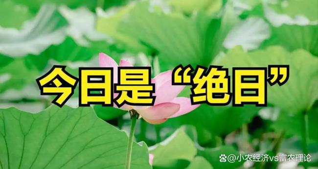 腊月十六尾牙节 牢记1不出2不借 传统习俗迎新春