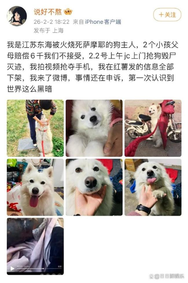 2男孩烧死萨摩耶家长曾提赔1只狗 赔偿协议争议不断