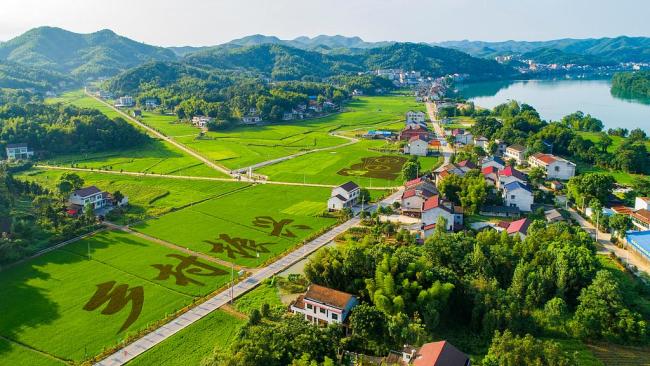 解读最新中央一号文件 锚定农业农村现代化