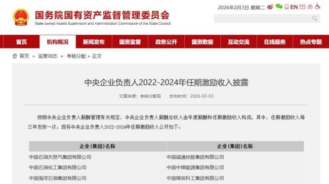 中央企业负责人2022-2024年任期激励收入披露