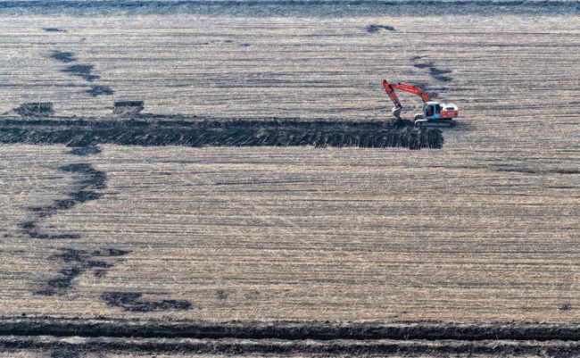 从中央一号文件看2026年“三农”工作路线图