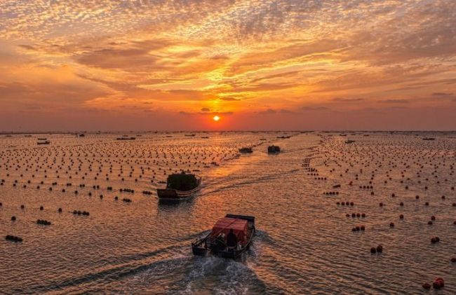 从中央一号文件看2026年“三农”工作路线图