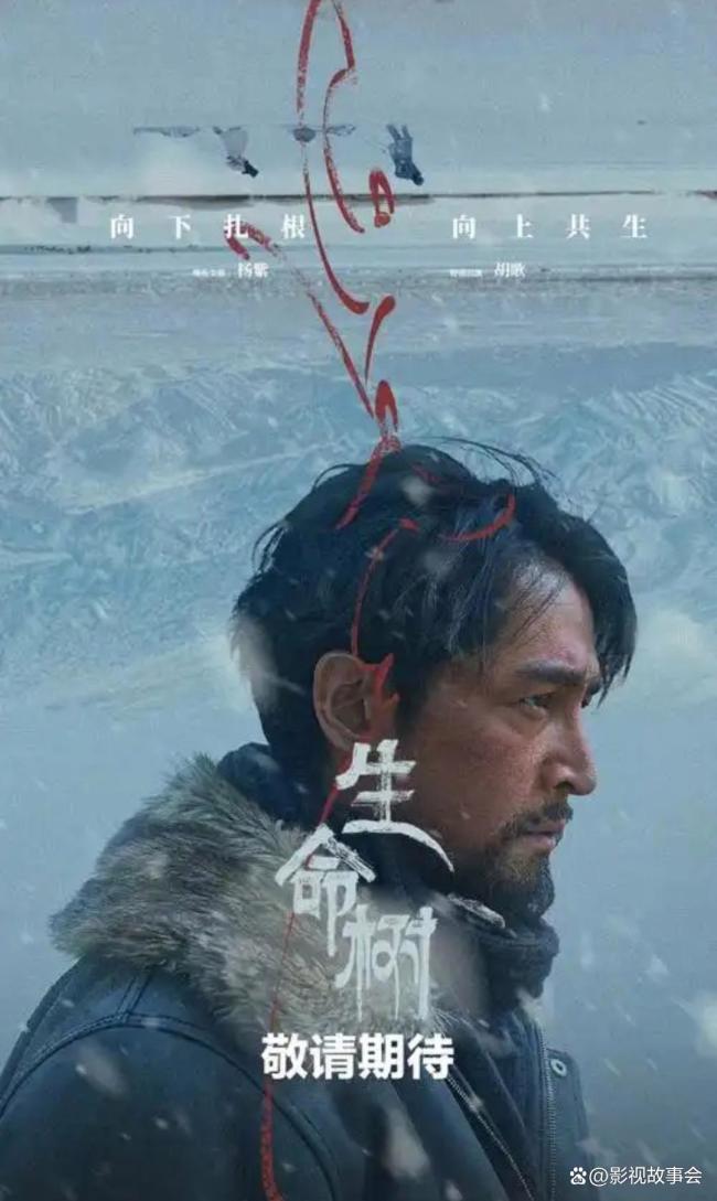 娱评人：不要因为题材错过《生命树》 慢热精品值得等待