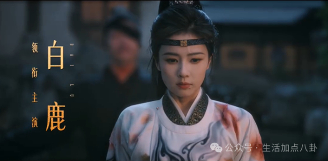 白鹿回应唐宫奇案热度6500 最后一部高强度打戏