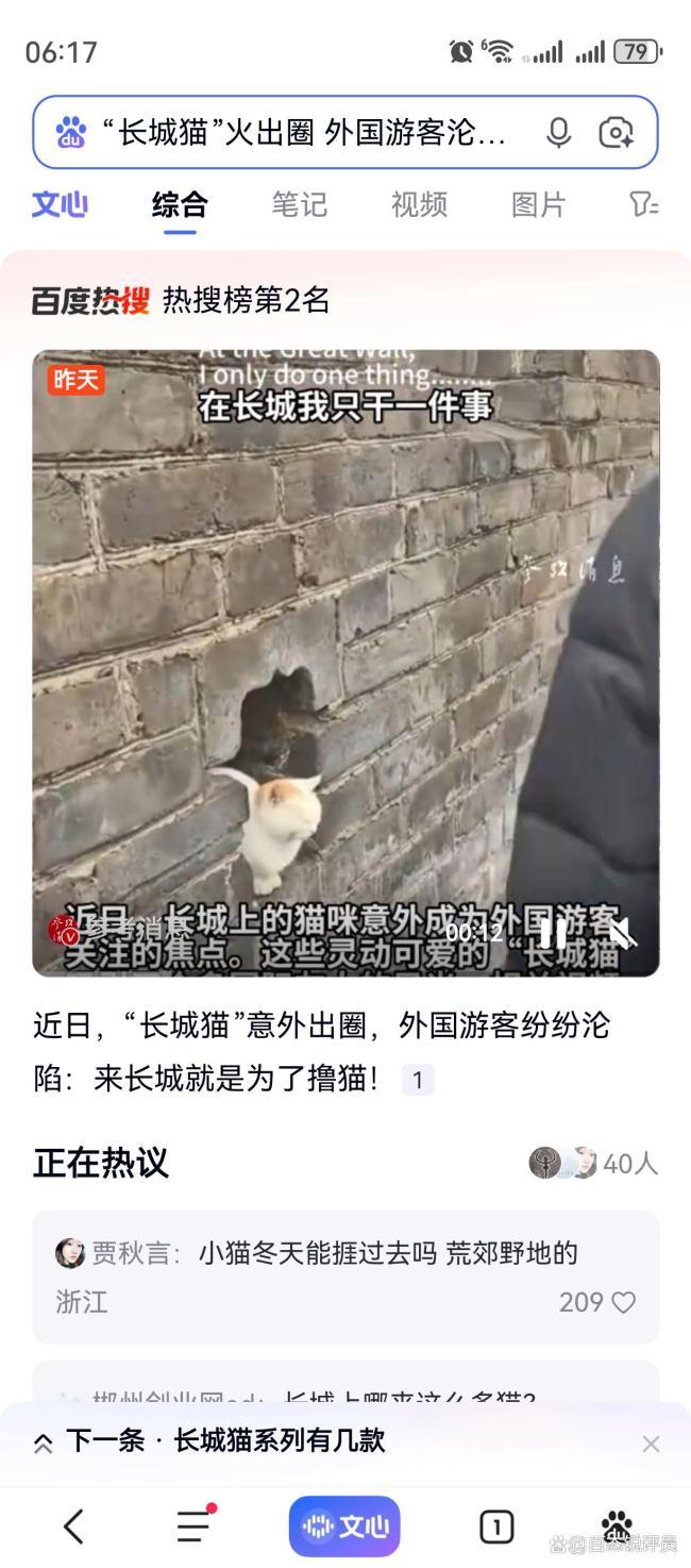 长城猫意外出圈引外国游客沦陷