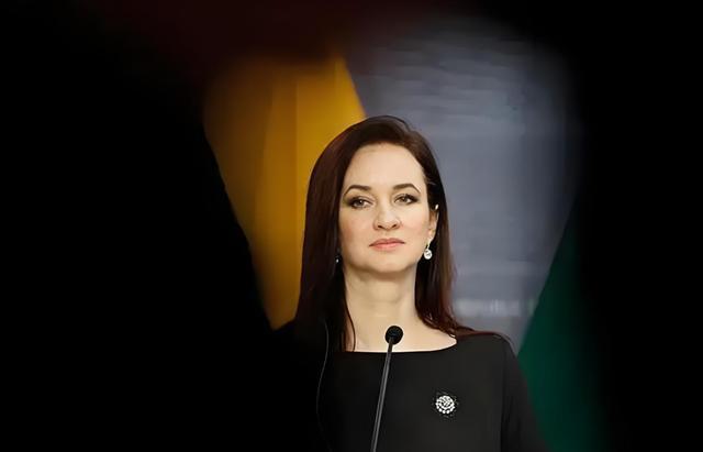 立陶宛火中取栗却被“树了典型” 反华豪赌代价惨重