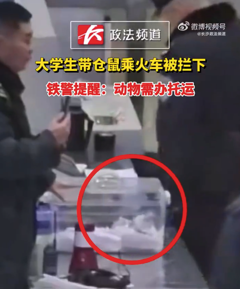 大学生带仓鼠乘火车被发现 铁警提醒:动物需办托运