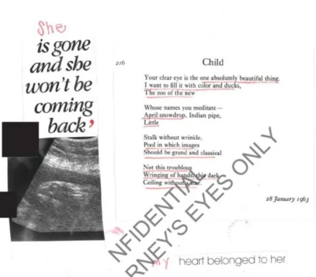 爱泼斯坦自缢抢救画面曝光 急救细节首次公开