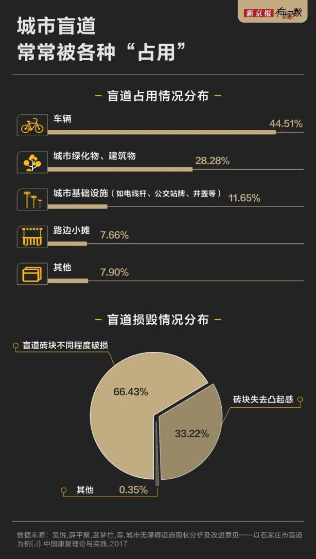除了盲东谈主 盲谈上什么王人有 视障者的出行逆境