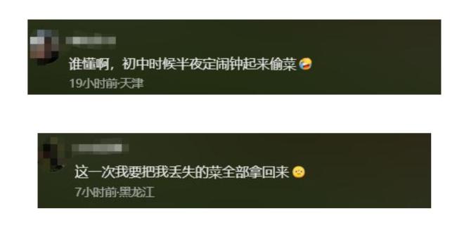 又能半夜起来偷菜了 青春回忆回归