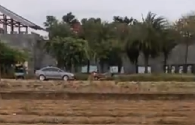 广磨真金不怕火客一甘蔗地旁边出现塌陷深坑 镇政府恢复