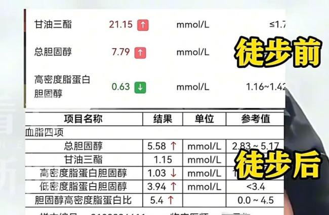 媒体评男子徒步36天从上海回家乡 千里归途的重生之路