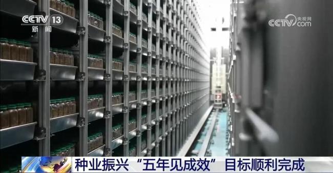 我国完成种业振兴“五年见成效”目标