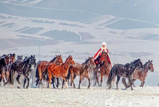 贺娇龙去医院路上电话叮嘱一定拍完