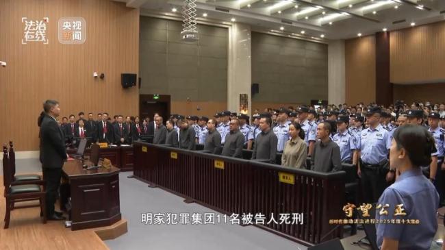 缅北明家判决书310页18万字证据体系严密