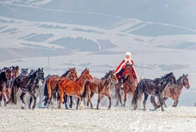 贺娇龙受伤、抢救经过线路