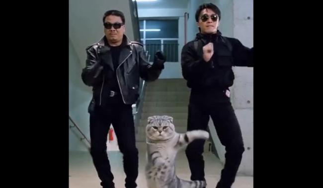 AI周星驰视频大量传播 经纪人质疑