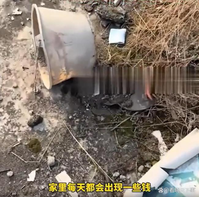 女子家中出现零钱是猫咪偷的 爱财小猫惹笑话