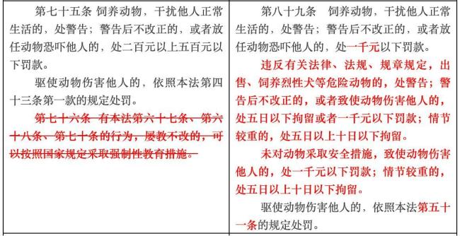 未牵绳边牧咬伤路人主人被行拘 新法首例处罚引发关注