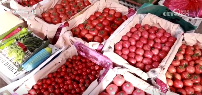 活力足，迎新春！各地“年味”上线氛围感已拉满