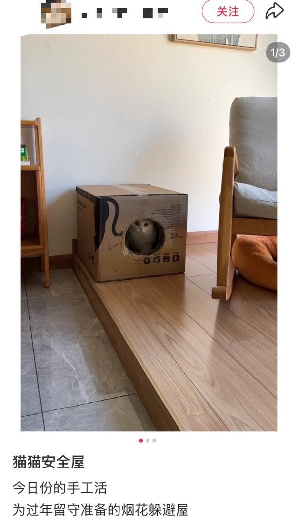 春节多地限时限区燃放烟花爆竹正规实盘配资,人类的节日宠物的难日,为何宠物害怕鞭炮声!