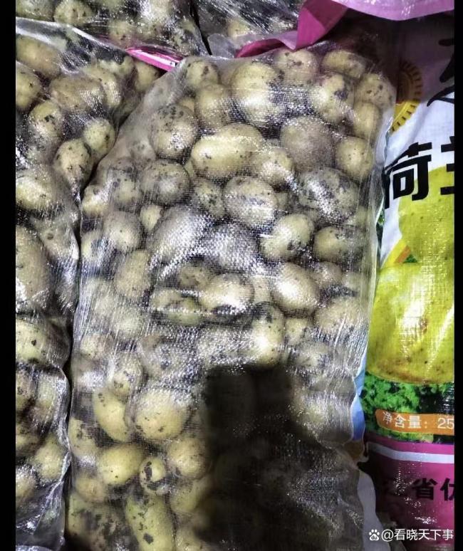 收费站回应把土豆认成种子收通行费 绿通政策执行引争议