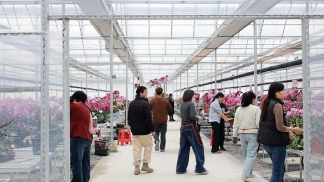 年味漸濃 新春的幸福與活力湧動