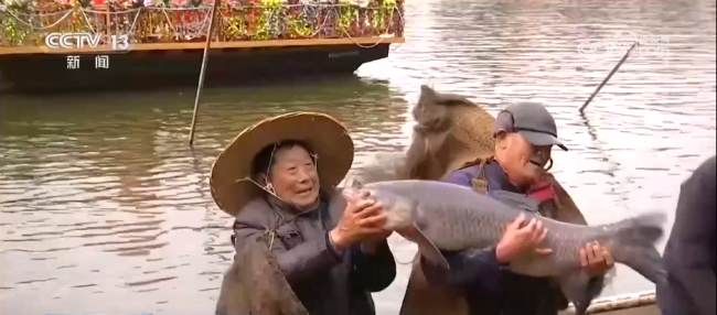 多彩非遗活动“解锁”热闹中国年