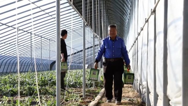 年味漸濃 新春的幸福與活力涌動