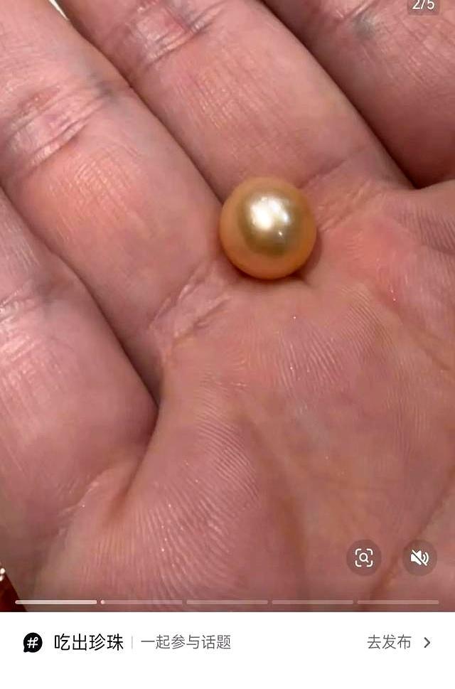 女子29元韭菜炒蚌肉吃出1颗粉珍珠 平价菜里的小惊喜