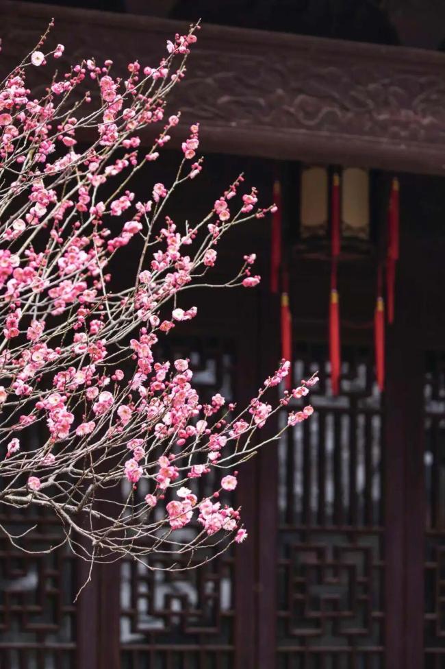 刚刚阐述：今起贯穿五天！气温暴跌17℃，春节假期把抓好这几天 浙江最新天气预告！