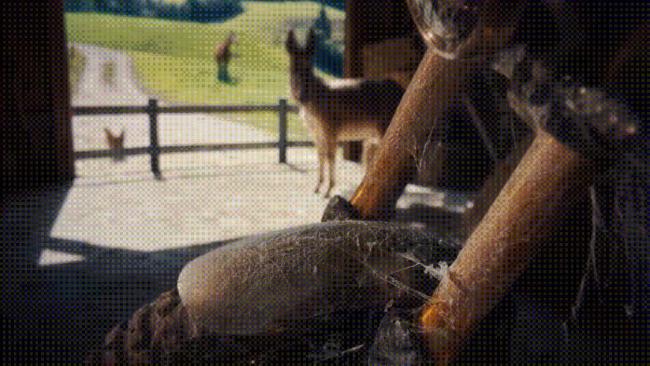 中国AI一年两炸 从追逐到领跑的跨越