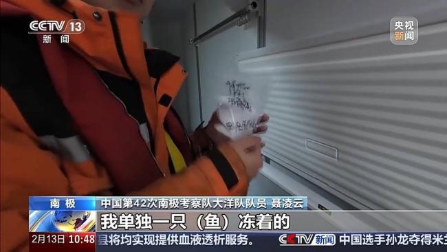 中国南极考察又有新发现 珍贵科研样品获取成功