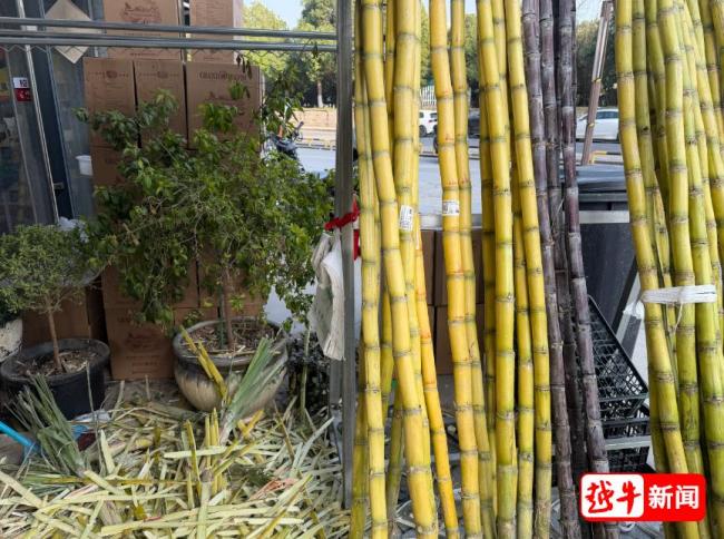 黄金手撕甘蔗一根87贵不贵 高价激励热议