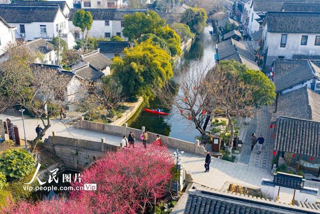江苏昆山：歇马桥古村春韵