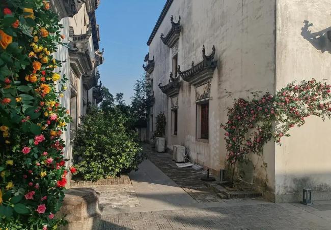 你体验过一个东说念主过除夜吗 守岁守的是颓靡