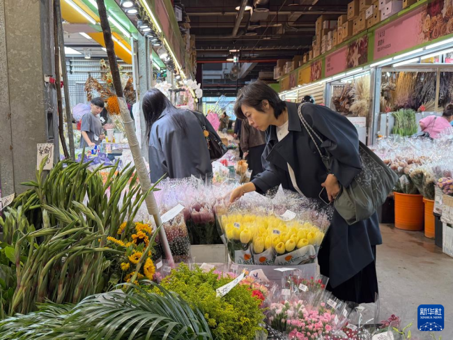 宝岛台湾迎春年味浓 购年货话团圆