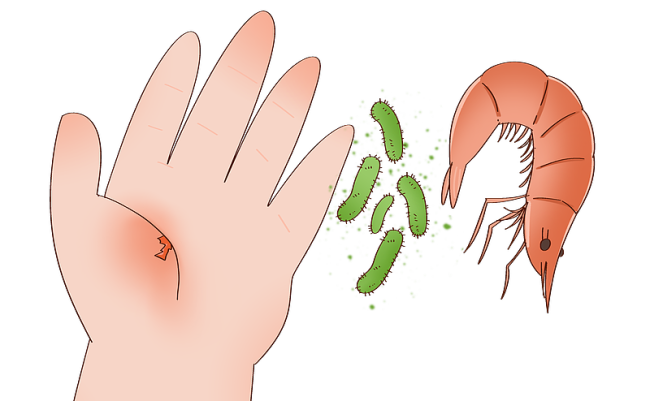 这几种肉这样吃!年夜饭照着做,健康美味全都有