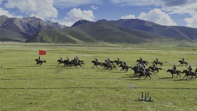 上完春晚 这些军马去干啥了 享受专属年夜饭