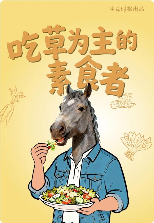 马年第一件正经事:跟“马”学养生 作念我方的健康骑士