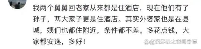 返鄉(xiāng)年輕人春節(jié)擠爆酒店 舒適過年新選擇