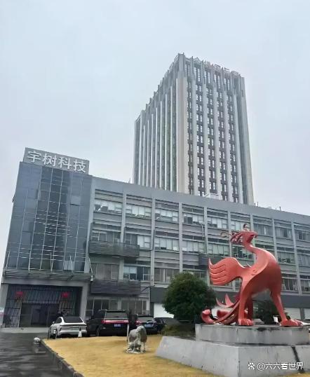 宇树科技为何还不上市 IPO节奏放缓背后