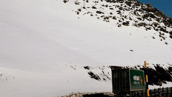 父母包的饺子跨越2700公里送儿子 家的味道最治愈